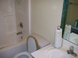 4th image of 5737 Justins Forest Dr