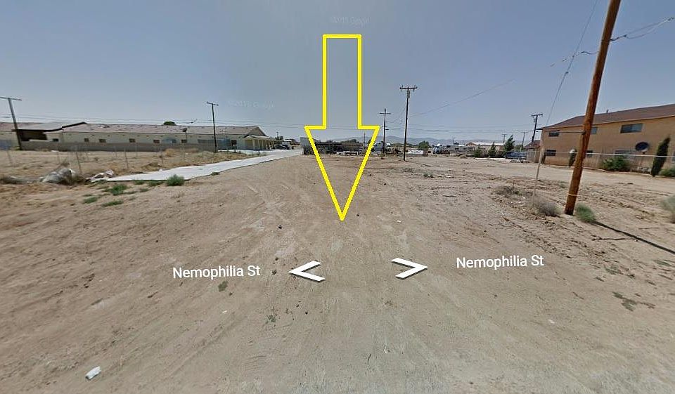 1st image of Nemophilia St
