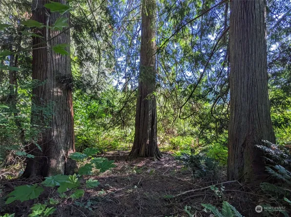6016 Storm Lake Road, Snohomish, WA 98290
