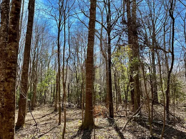 0 Highway 567, Liberty, MS 39657