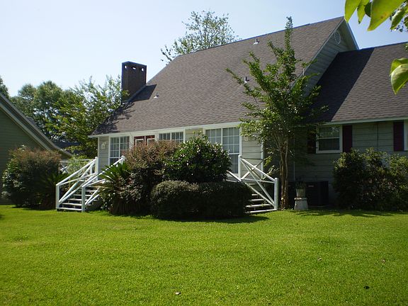 Back View