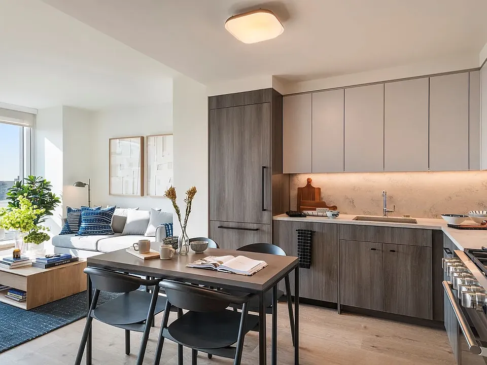 55 Suffolk St #1207