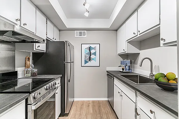 Asheville Arms Apartments — Photo 9