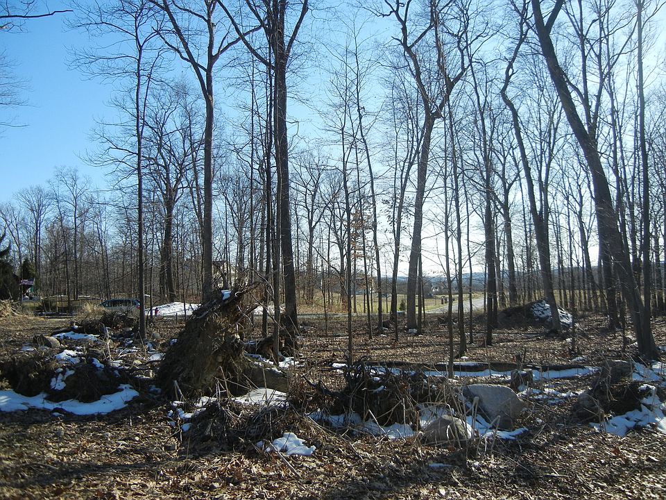 2nd image of 28 Hickory Ln