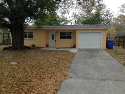4919 Murray Hill Dr, Tampa, FL, 33615