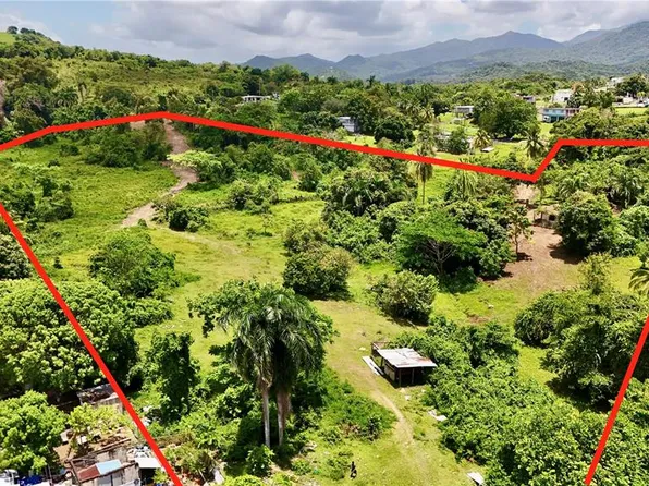 BO ZARAL SEC CAROLA, RIO GRANDE, PR 00721