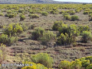 2nd image of 10714 W High Butte Dr