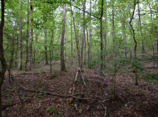 Vance Winstead Ln, Spring City, TN 37381