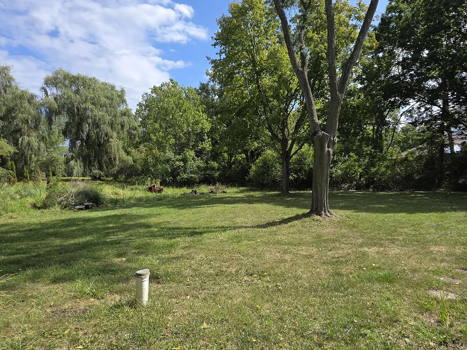 3 bed, 1.5 bath, 1336 sqft, $2,600 — Photo 3