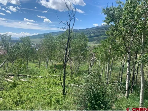 4217 Bryant Avenue, Crested Butte, CO 81224