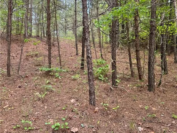 2 Old Shyers Ford Rd #2, Talking Rock, GA 30175