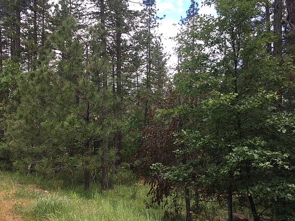 5th image of 1312 Shady Tree Ln