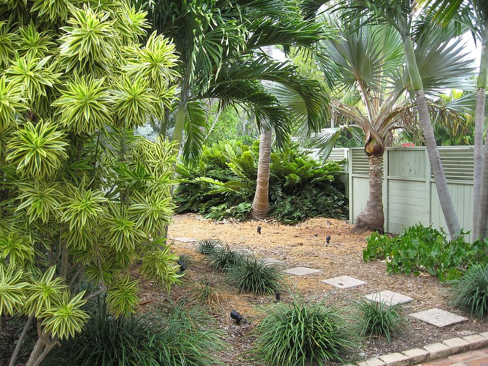 Front Yard Area