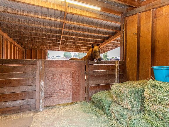 4th image of 10607 Limestone Dr #41