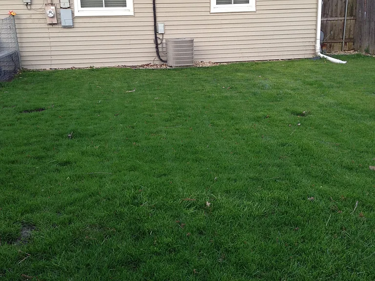 268 Cindy Ln — Photo 12