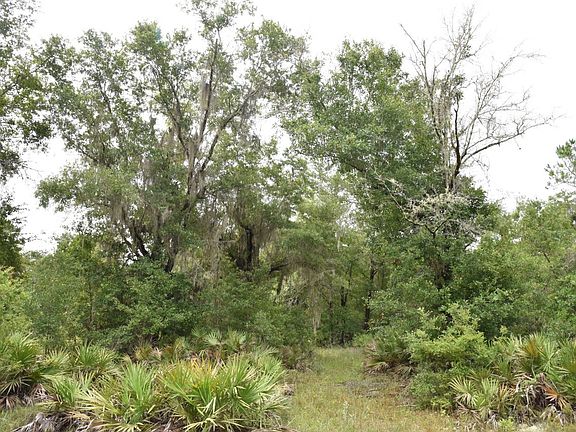 3rd image of 9150 SE Us Highway 301 Lot Wp001