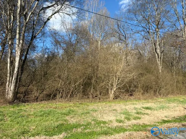 1 Robert Cir, Guntersville, AL 35976