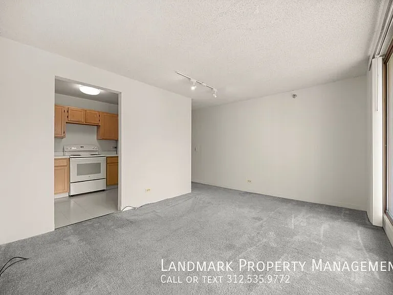 200 N Dearborn St #3201 — Photo 10