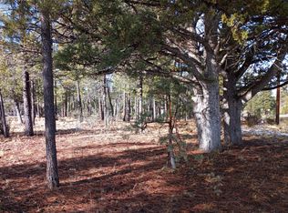 5384 Bald Eagle Way, Happy Jack, AZ 86024