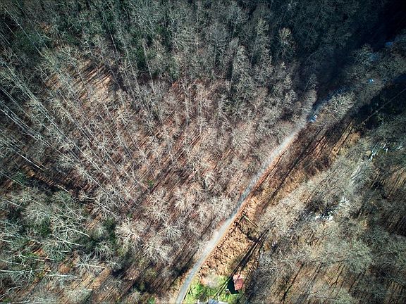 5th image of Upper North Fork Rd