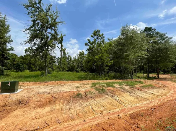 County Road 2160 Phase 2 #D, Tatum, TX 75691