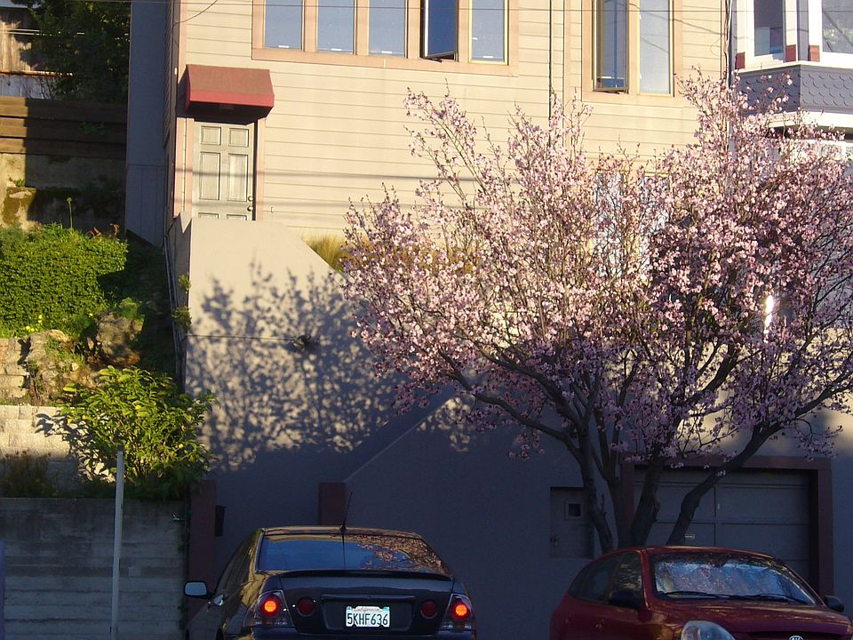 1st image of 1007 Rhode Island St