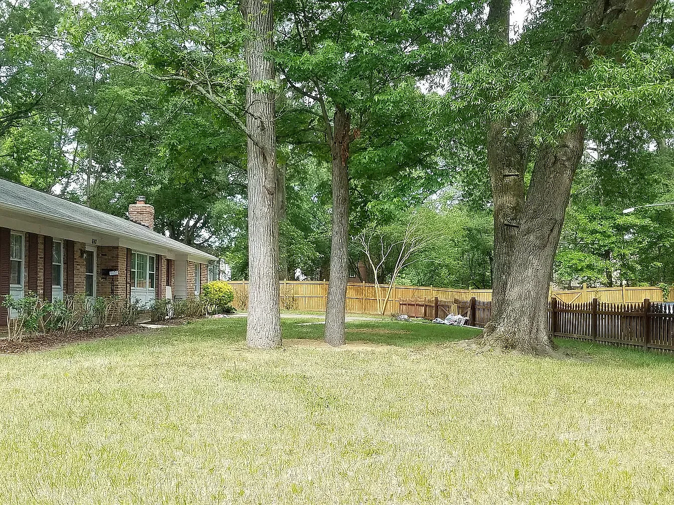 3 bed, 1812 sqft, $3,200 — Photo 1