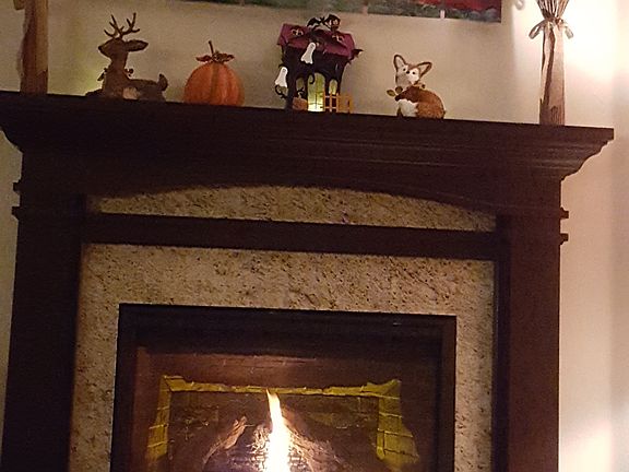 Gas Fireplace