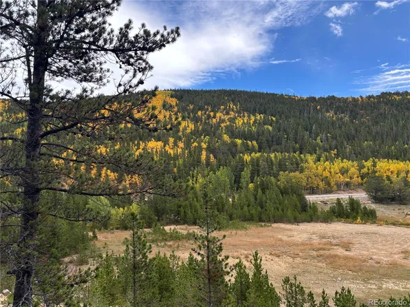 Silver Creek Road, Idaho Springs, CO 80452