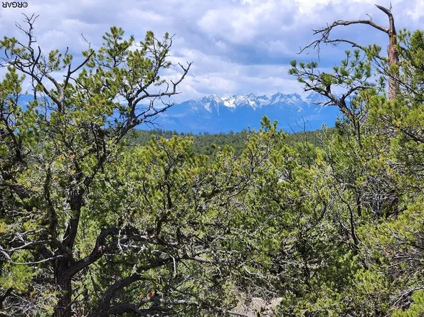 885 Owens Ln, Cotopaxi, CO 81223