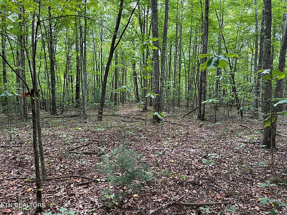 5th image of Wildcat Rd