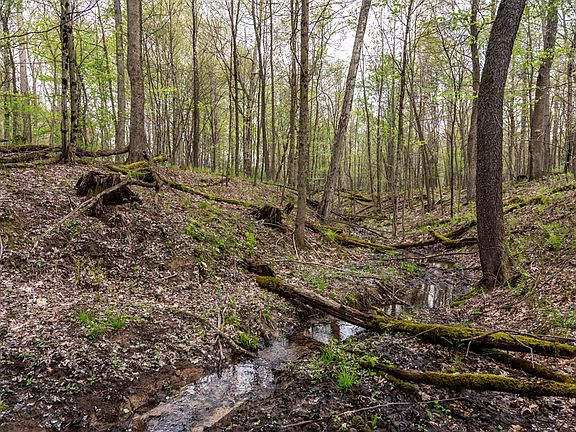 5th image of 0 Huefner Spring Rd