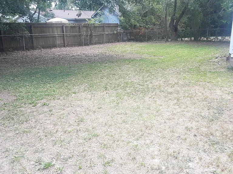 Back yard