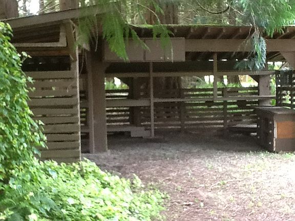 5th image of 41942 Cape Horn Dr