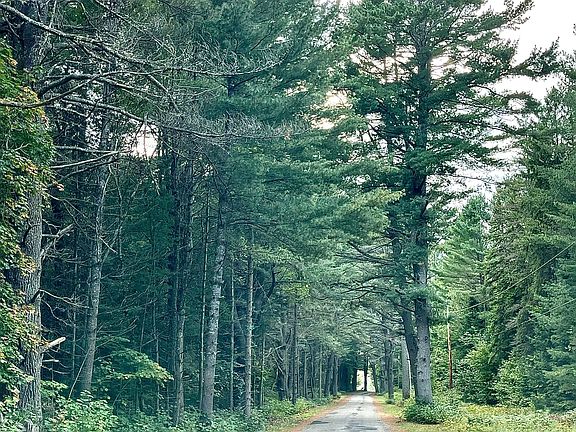 5th image of 0 Cardwell Lake Rd