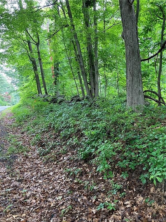 471 Stormville Mountain Road, Stormville, NY 12582 Zillow