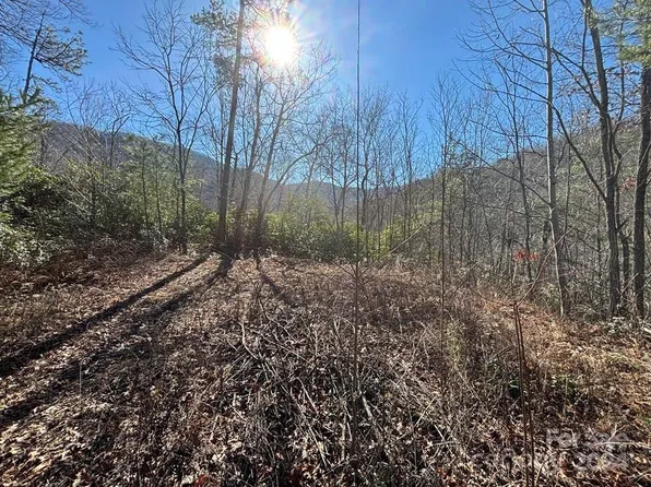 2 Gardners Cv #2 & 5, Whittier, NC 28789