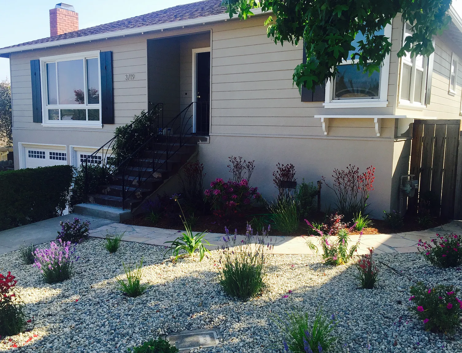3719 Lola St photo 1