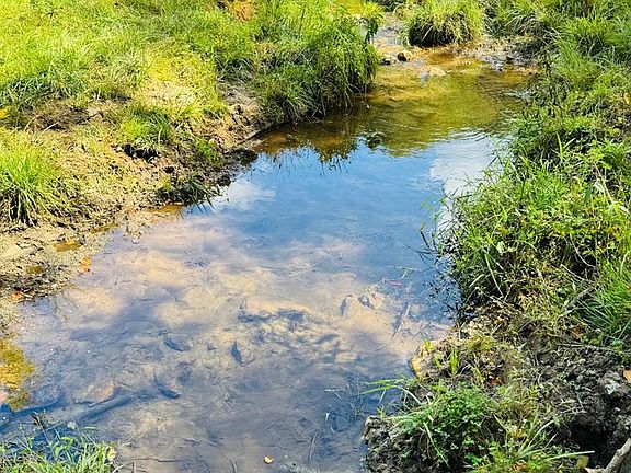 4th image of 5771 Joy Ranch Rd