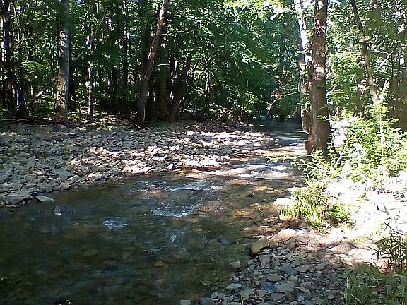 Clean water creek on propert