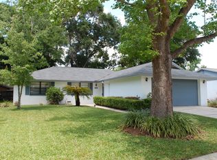 4217 Briarberry Ln, Tampa, FL 33624