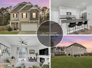 404 Ibis Ct, Sneads Ferry, NC 28460