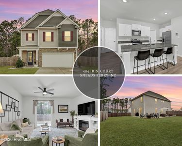404 Ibis Court, Sneads Ferry, NC, 28460