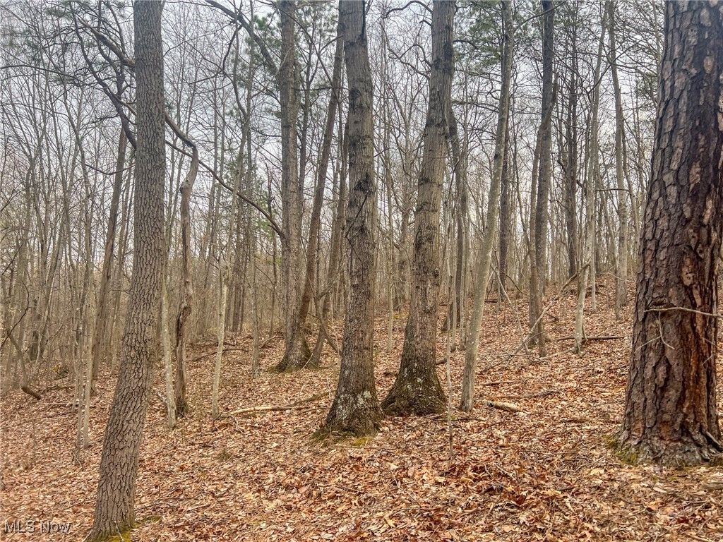 Real estate listing image