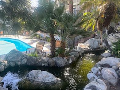 Pool and Pond