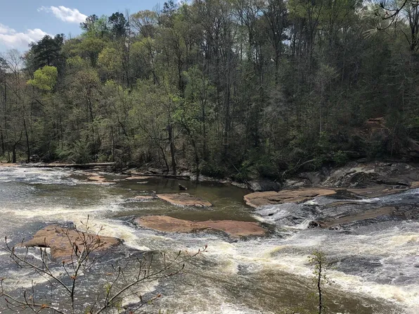 160 Rivers Edge Dr, Forsyth, GA 31029