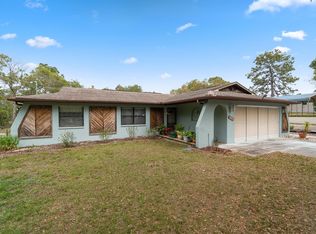 18314 Drayton St, Spring Hill, FL 34610