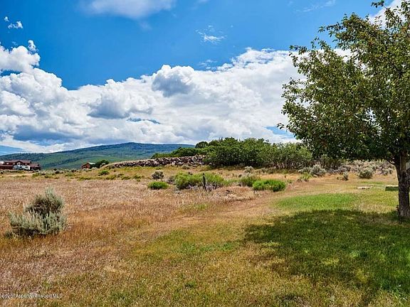 Large side  / back yard