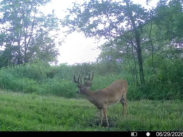 Highway 159, Forest City, MO 64451
