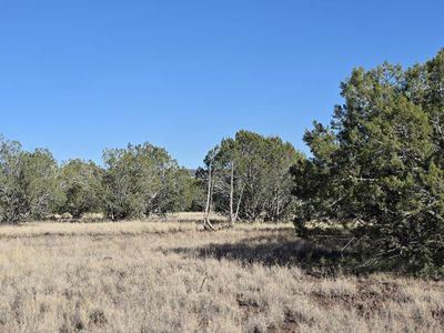 3715 W Shawn Way, Williams, AZ, 86046